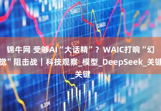 锦牛网 受够AI“大话精”？WAIC打响“幻觉”阻击战｜科技观察_模型_DeepSeek_关键