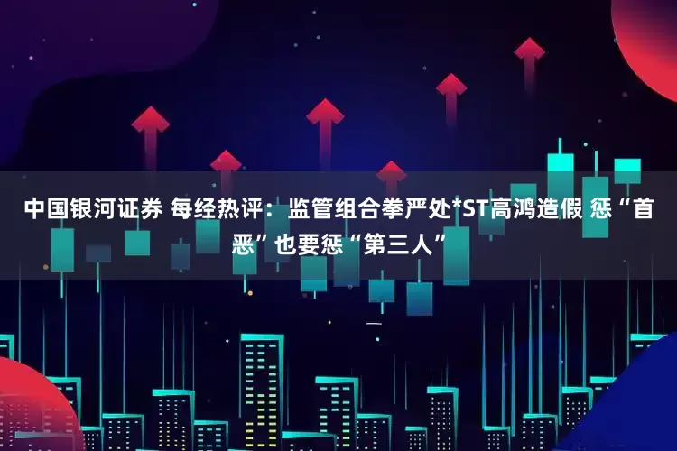 中国银河证券 每经热评：监管组合拳严处*ST高鸿造假 惩“首恶”也要惩“第三人”