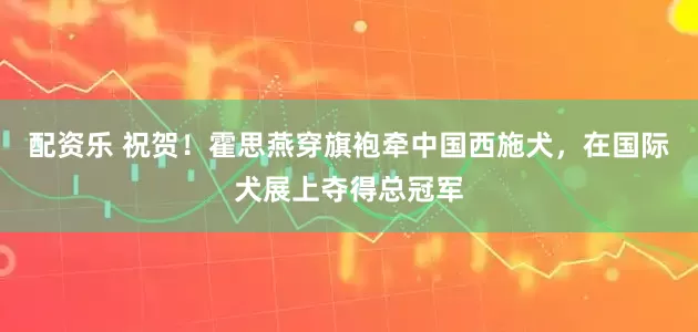 配资乐 祝贺！霍思燕穿旗袍牵中国西施犬，在国际犬展上夺得总冠军