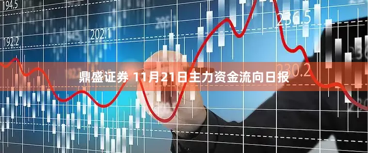 鼎盛证券 11月21日主力资金流向日报